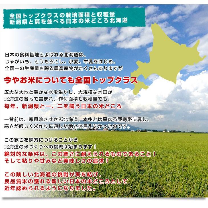 令和5年産 北海道産 ＜新米＞ ななつぼし 5キロ 送料無料 お米 北海道米