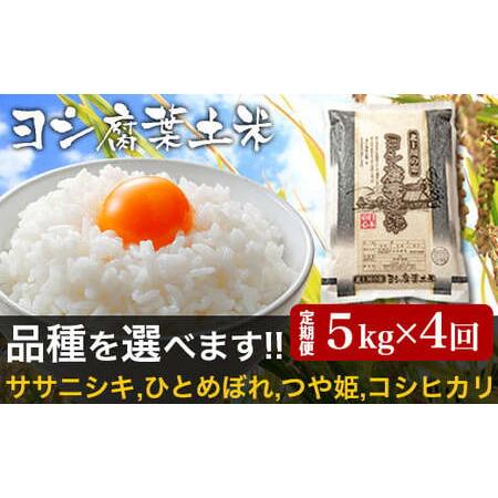 ふるさと納税 令和5年産＜定期便＞ヨシ腐葉土米 精米20kg（5kg×4回発送）コシヒカリ 宮城県石巻市