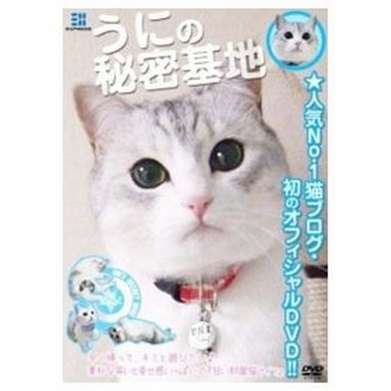 Dvd うにの秘密基地 甘い部屋猫ライフ 猫ブログ人気ｎｏ １ 通販 Lineポイント最大0 5 Get Lineショッピング