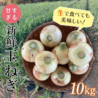 甘すぎる新鮮玉ねぎ 10kg