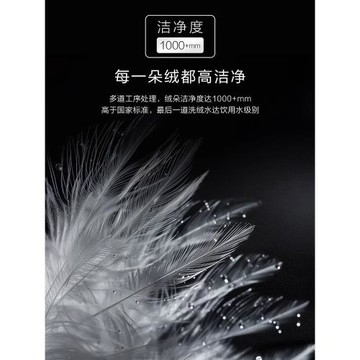 奢世希爾頓羽絨被白鵝絨被子被芯五星級酒店春秋被保暖加厚冬被