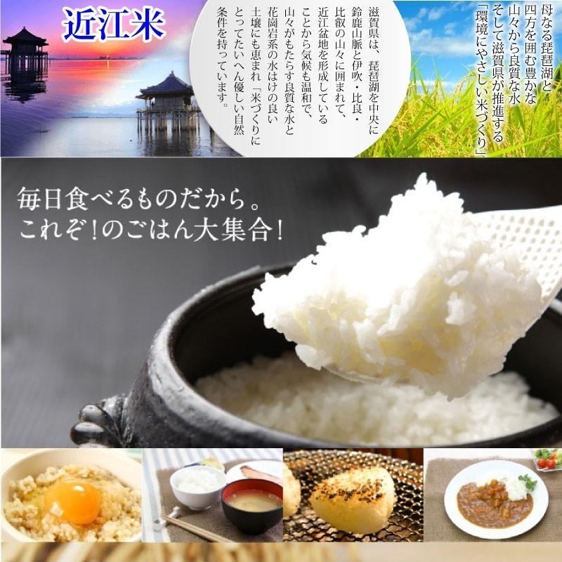 令和5年産 滋賀県産コシヒカリ10Kg玄米  お好きな分つきに 健康応援 送料無料 一部地域を除く