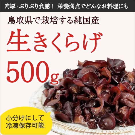 純国産生きくらげ500g