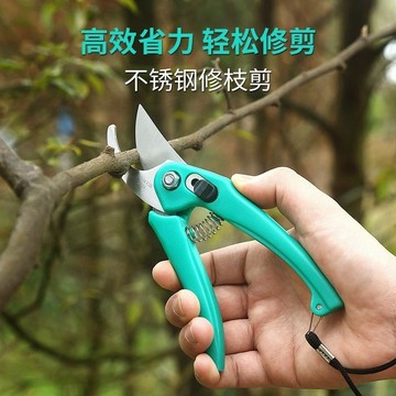 🔥優品五金🔥省力DX園藝愛麗斯修枝剪園林專用便攜花園摘果剪樹枝剪修花園剪優選
