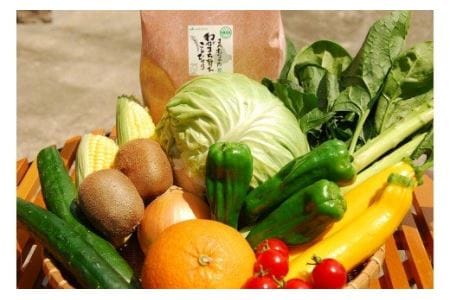 むなかた旬のお任せセット(野菜・フルーツ・お米)_PA0263