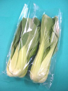 日常の一般野菜 チンゲン菜 青梗菜 2株入