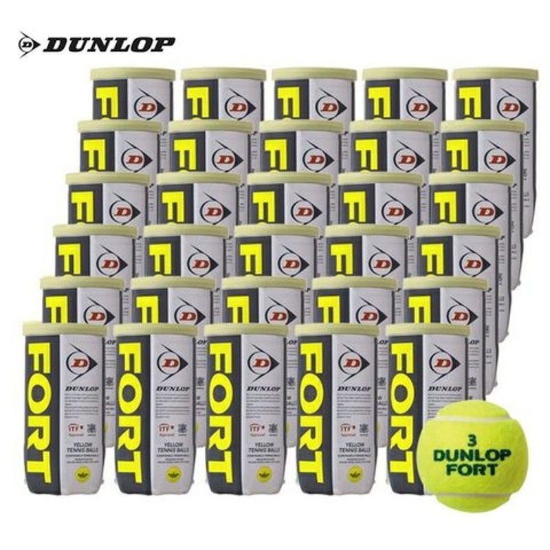 売れ筋ランキングも ダンロップ [DUNLOP] FORT フォート 1箱1缶2球入