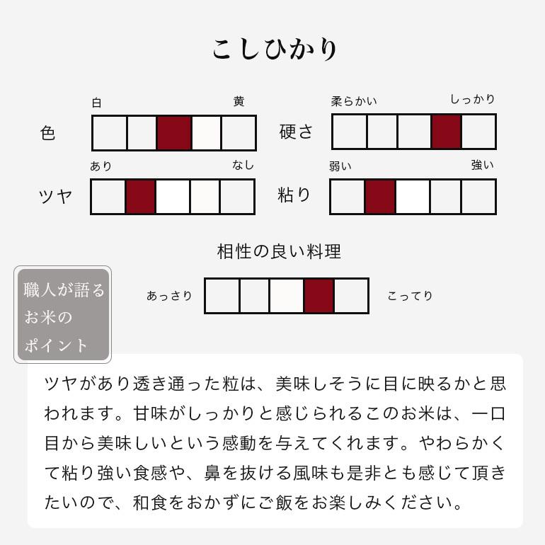 コシヒカリ 米 5kg 白米 送料無料 富山県黒部産 令和5年 一宮精米 米