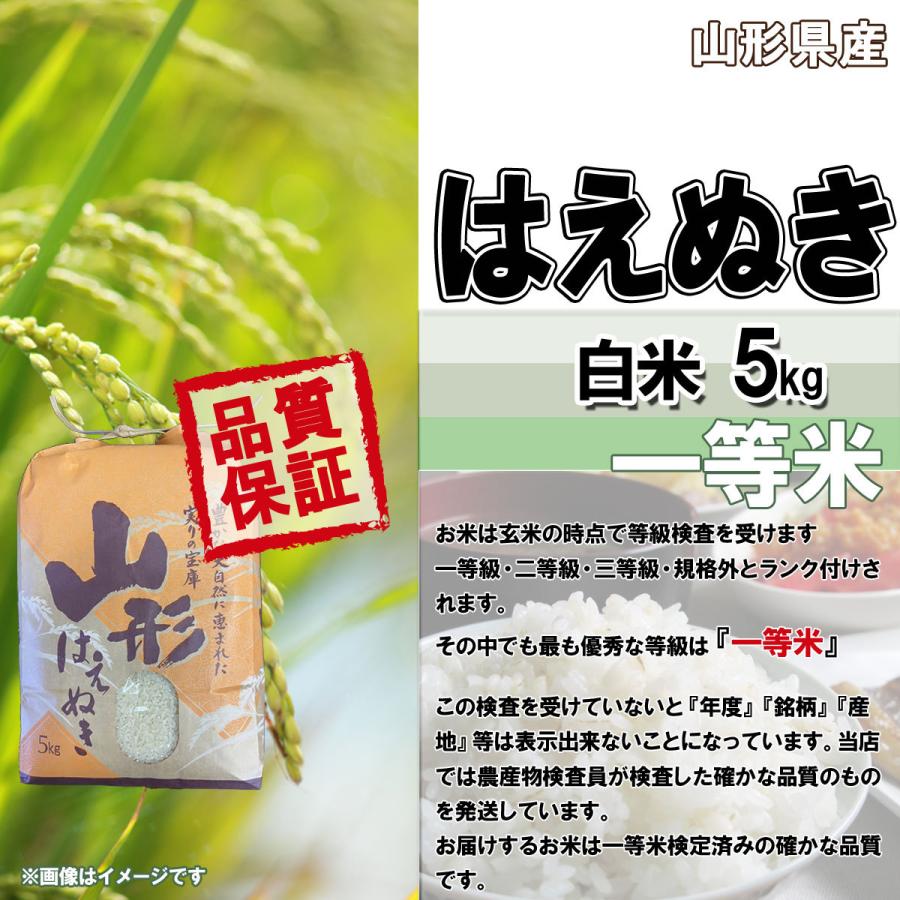 令和5年産 新米 送料無料 山形県産 はえぬき 白米 5kg 五キロ お米 おこめ 白米 はくまい