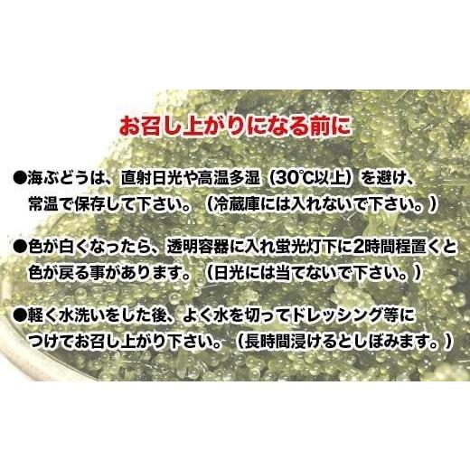 ふるさと納税 沖縄県 南城市 先行予約！2024年4月頃発送　南城市産海ぶどう500ｇ