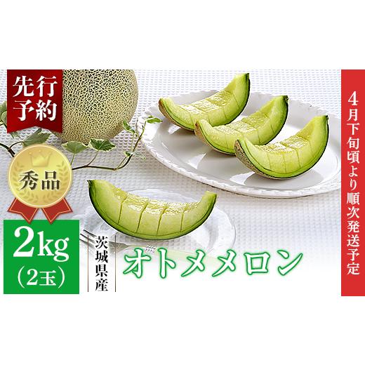 ふるさと納税 茨城県 茨城町 007-2茨城県産オトメメロン約2kg（2玉）