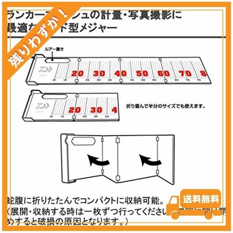 最大63%OFFクーポン ダイワ DAIWA メジャー ランカースケール 031189 trumbullcampbell.com
