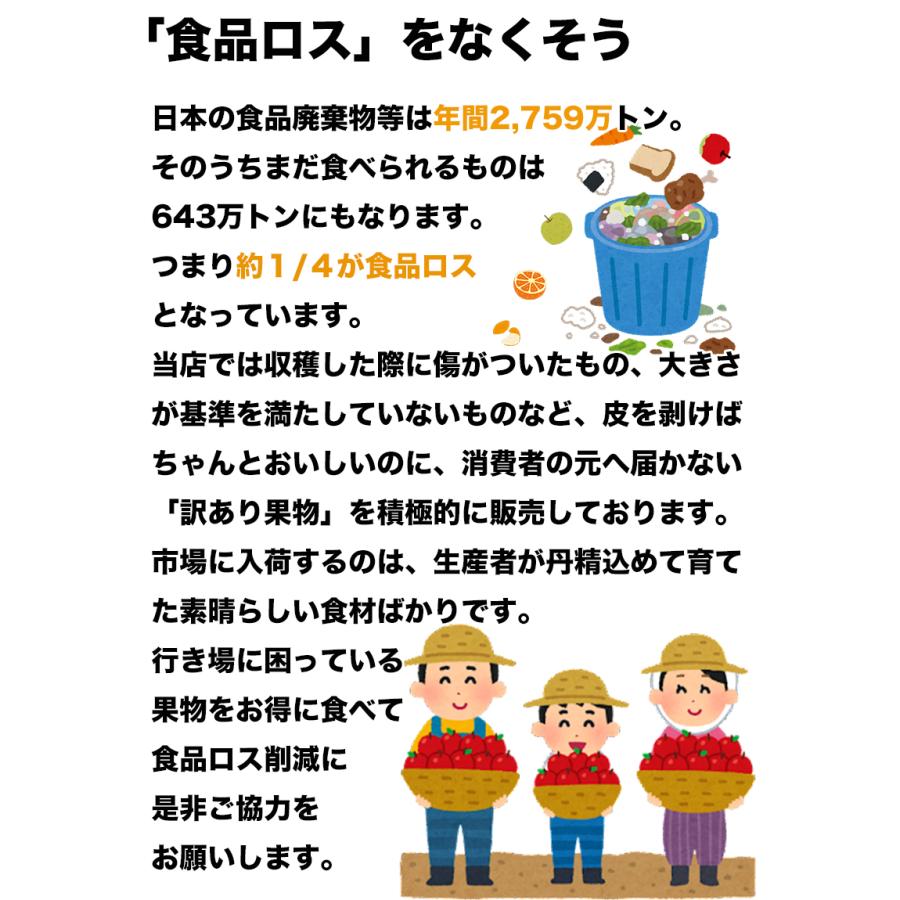 紅まどんな あいか 送料無料 愛媛県 愛媛まどんな みきゃん箱 3Lサイズ 2.5kg JAの正規品 あいか 愛果28号 ご家庭用 バラ詰 お歳暮 ギフト 予約 12月上旬頃から