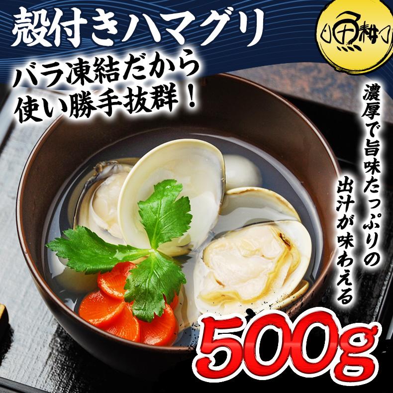 はまぐり 殻付きハマグリ 500g 砂抜き済ですぐ料理に使える！ 殻付はまぐり ミスハマグリ