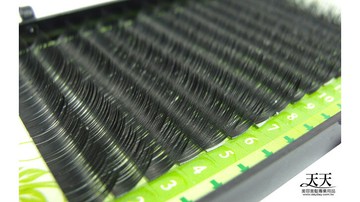 星星洋 15C 美接睫水貂毛 8mm [29863] ::WOMAN HOUSE::