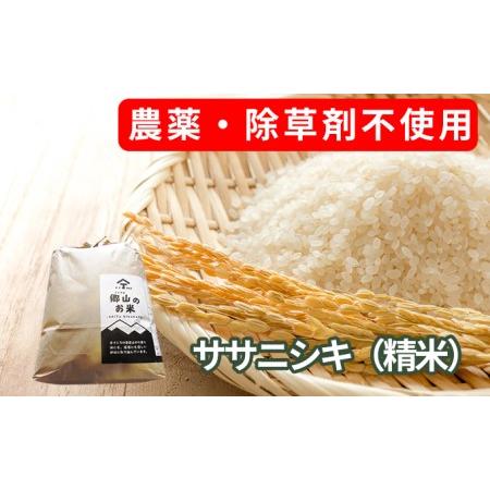 ふるさと納税 農薬・除草剤不使用で栽培したササニシキ「郷山のお米 20kg」（5kg×4袋 精米） 秋田県にかほ市