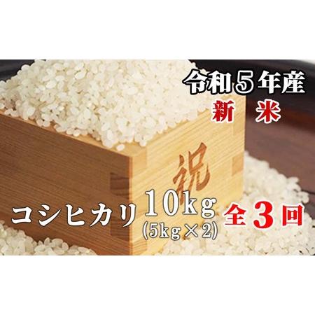 ふるさと納税 白米 10kg 令和5年産 コシヒカリ 岡山 「おおがや米」生産組合 G-ag-CCZA 岡山県西粟倉村