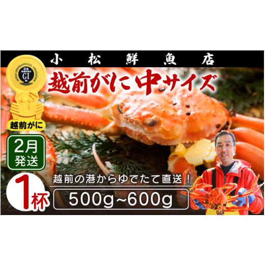 ふるさと納税 福井県 越前町 越前がに本場の越前町からお届け！ 越前がに 浜茹で 中サイズ（生で500〜600g） × 1杯【福井県 越前町 雄 ズワ…