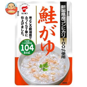 たいまつ食品 鮭がゆ 250g×10袋入×(2ケース)｜ 送料無料