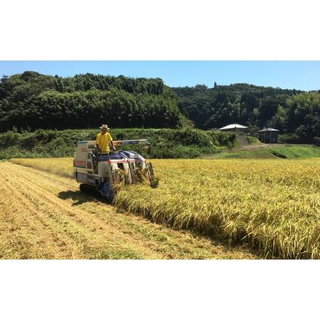 ふるさと納税 南房総市産コシヒカリ5kg mi0018-0012 千葉県南房総市