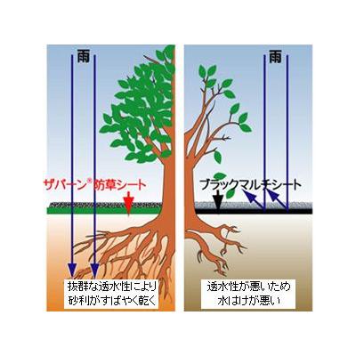 防草シート ザバーン 2m 超強力タイプ 240G グリーン X 30m デュポン