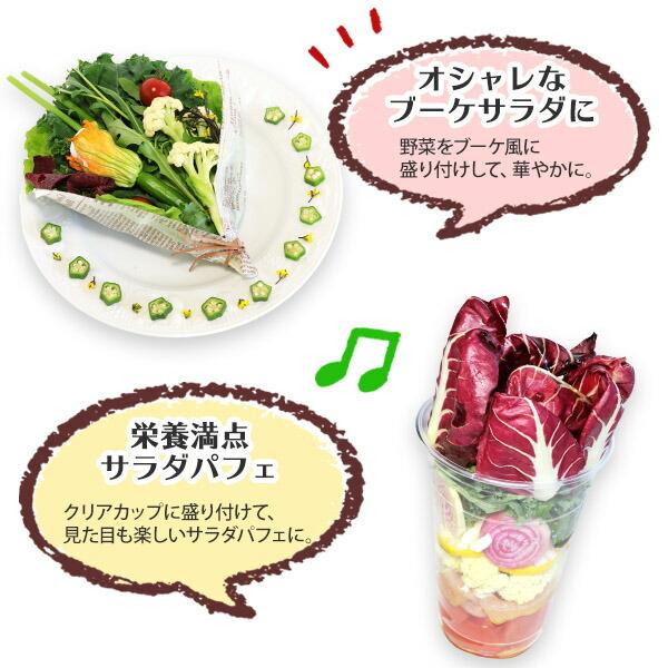 冬ギフト ヨーロッパ野菜 詰め合わせ スタンダード セット 6-8品目 珍しい 野菜 set プレゼント お取り寄せ