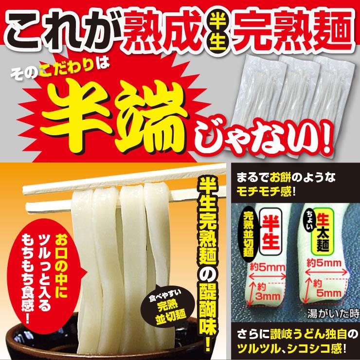 ポイント10% 激ウマ 讃岐 熟成 半生 完熟 並切麺 6〜8食 便利な個包装 750g 送料無料 最安値挑戦 得トクセール 特産品