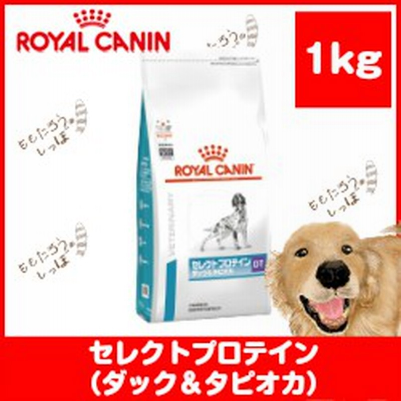 ロイヤルカナン 犬用 セレクトプロテイン ダック タピオカ １kg ドライ ドッグ フード 療法食 通販 Lineポイント最大1 0 Get Lineショッピング