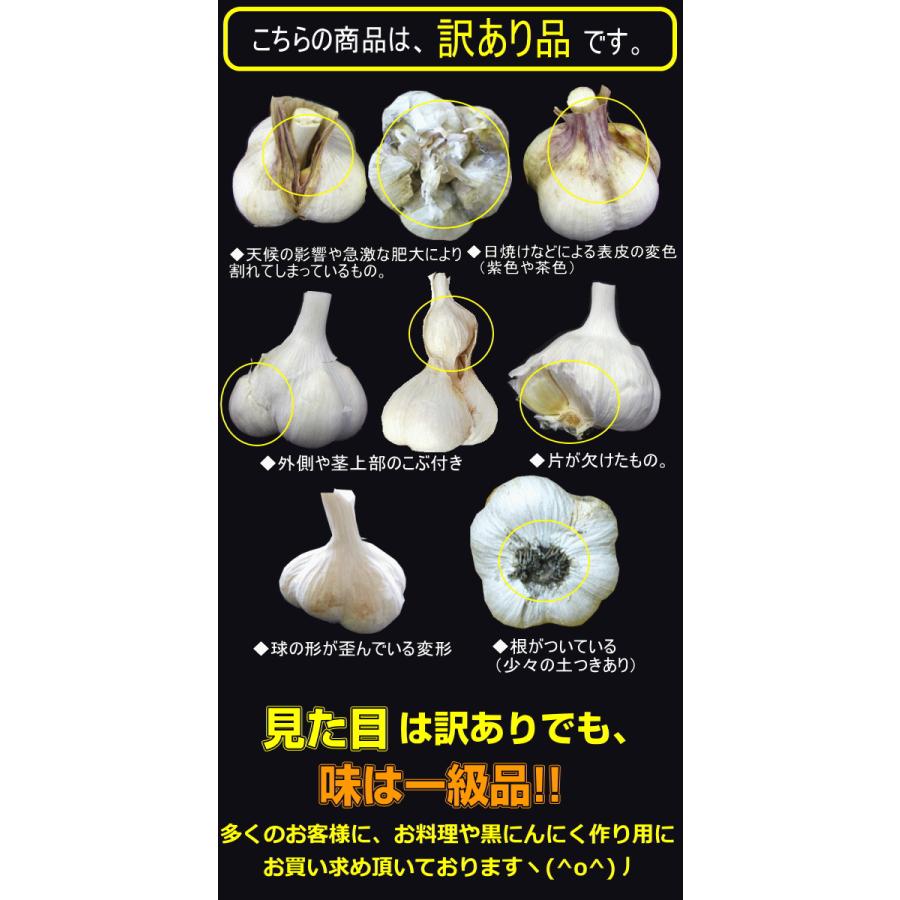 青森 にんにく 1kg 青森 訳あり Lサイズ厳選 C品 並級 国産 ニンニク 中国産と比べて