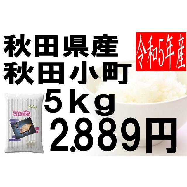 米　令和5年度産　秋田県産　秋田小町 5kg