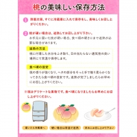  あら川の桃 約3kg 8-11玉 室谷青果 《2024年6月下旬-8月中旬頃より順次出荷》 和歌山県 紀の川市