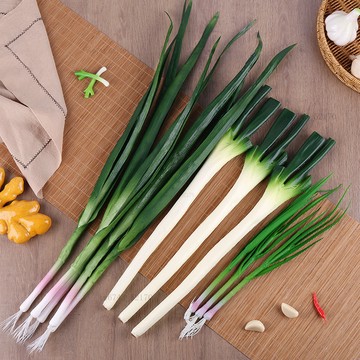 仿真水果模型 仿真蔬菜 PU模擬大葱模型胡葱蒜苗東北蔬菜品農家場景佈景櫥櫃擺件舞蹈道具