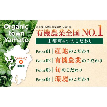 ふるさと納税 有機野菜 オーガニック 野菜 8種セット 野菜詰め合わせ 熊本県産有機野菜 山都町産有機野菜 産地直送 高原野菜 新鮮有機野菜 採れ.. 熊本県山都町