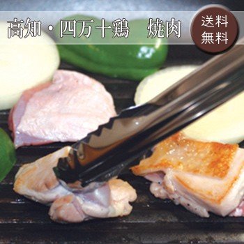 お歳暮ギフト2023にも！ 高知・四万十鶏　焼肉 ［送料無料］