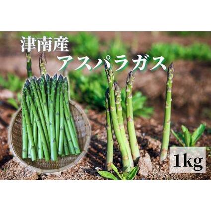 ふるさと納税 朝取りアスパラガス バラ詰め（L〜2Lサイズ）1kg 新潟県津南町