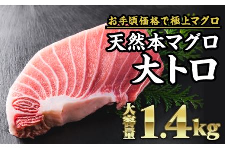 天然本マグロ  大トロ 　大満足1.4kg　CH-71