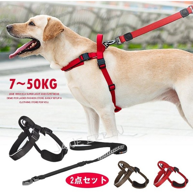 犬用首輪 リード 2点セット 犬の首輪 犬用 イヌ 小型犬 ペット用品 ペットグッズ 持ちやすい シンプル おしゃれ お散歩 お出掛け 日本未入荷