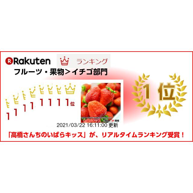 ギフト いちご いばらキッス 4P  高橋さんちの イチゴ 苺 フルーツ 完熟 茨城県産 朝採り お取り寄せ