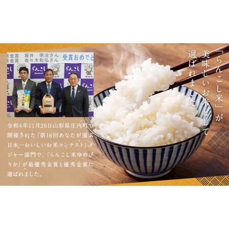 ふるさと納税 令和5年産 新米 らんこし米 食べ比べ (ななつぼし・ゆめぴりか) 各5kg 北海道蘭越町