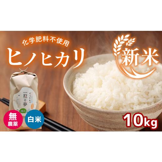 ふるさと納税 山口県 美祢市 無農薬・化学肥料不使用 ヒノヒカリ 10kg