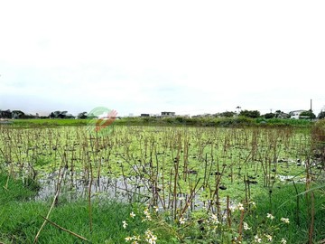 柯林湧泉生態雙面路足坪美農地｜宜蘭縣冬山鄉柯林三段