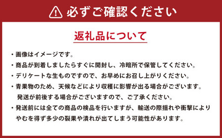  くまもとの すいか 食べ比べ 定期便 合計5玉 スイカ 果物 くだもの フルーツ