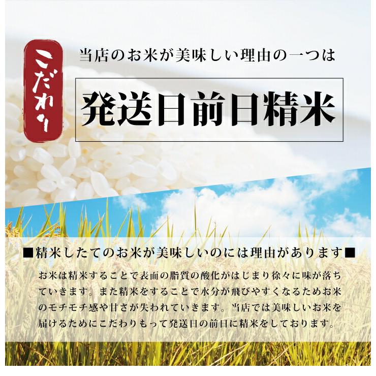 令和５年産 新米 出産内祝い 内祝い 引き出物 香典返し 快気祝い 『 北海道産 ゆめぴりか 10kg 』 結婚内祝い 新築内祝い 人気 お米 北海道ギフト