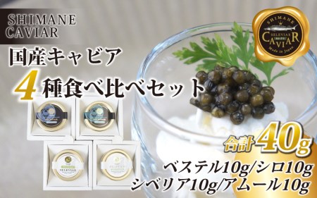 キャビア4種食べ比べセット計40g（4種各10g）