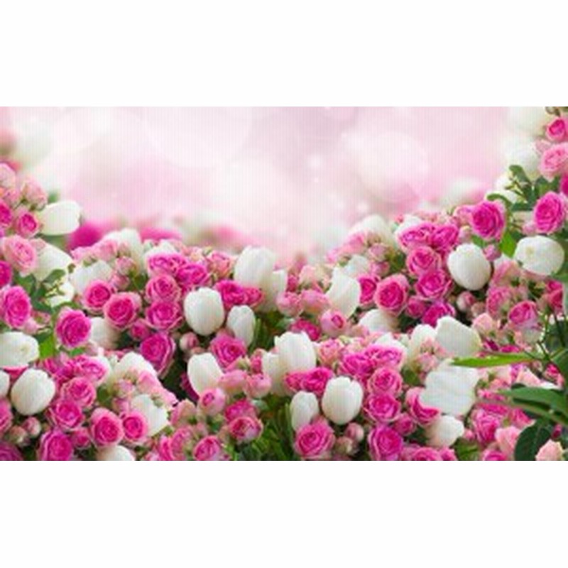 絵画風 壁紙ポスター ピンクのバラと白いチューリップ 薔薇 ローズ チューリップ ブーケ Fros 017w2 ワイド版 603mm 376mm 通販 Lineポイント最大1 0 Get Lineショッピング