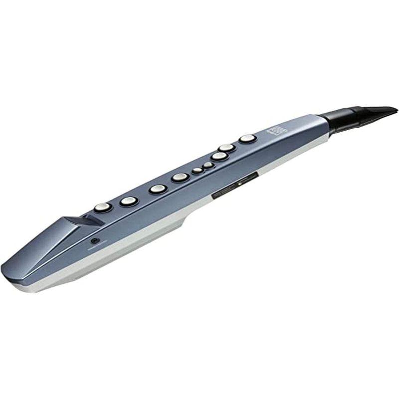 Roland ローランド AE-01 Aerophone mini エアロフォン ミニ - 楽器、器材