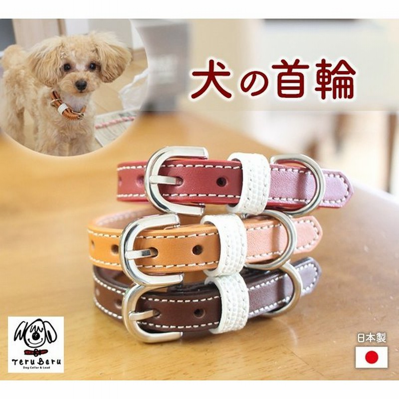 犬 首輪 犬首輪 犬の首輪 おしゃれ かわいい ブランド 迷子札 レッド 小型犬 小型犬用 超小型犬 いぬ くびわ 革 レザー 皮 軽い 柴犬 チワワ M S 通販 Lineポイント最大0 5 Get Lineショッピング