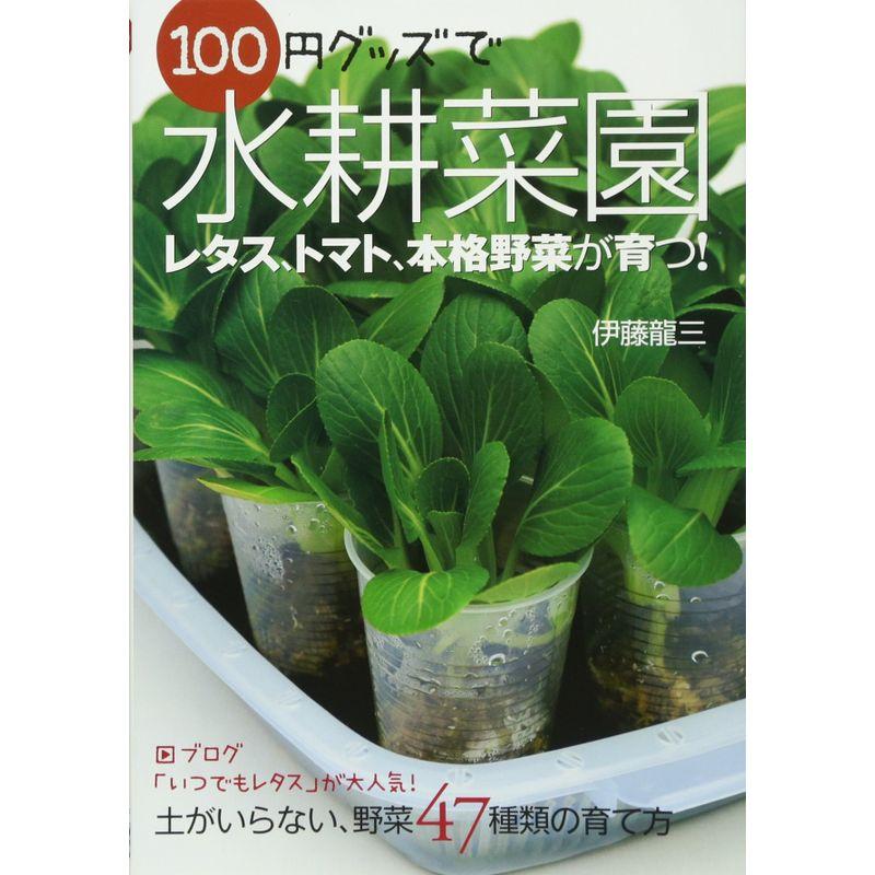 100円グッズで水耕菜園