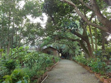 ☘️新社崑山國小~水池造景休閒農場(可分割購買｜台中市新社區新七分段