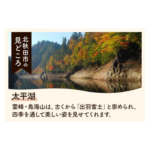 ふるさと納税 秋田県 北秋田市 ＜新米＞秋田県産 あきたこまち 30kg(5kg小分け袋)令和5年産　お届け時期選べる お米 おおもり 配…